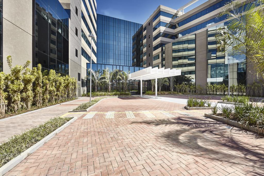Contemporaneo - Royal Palm &