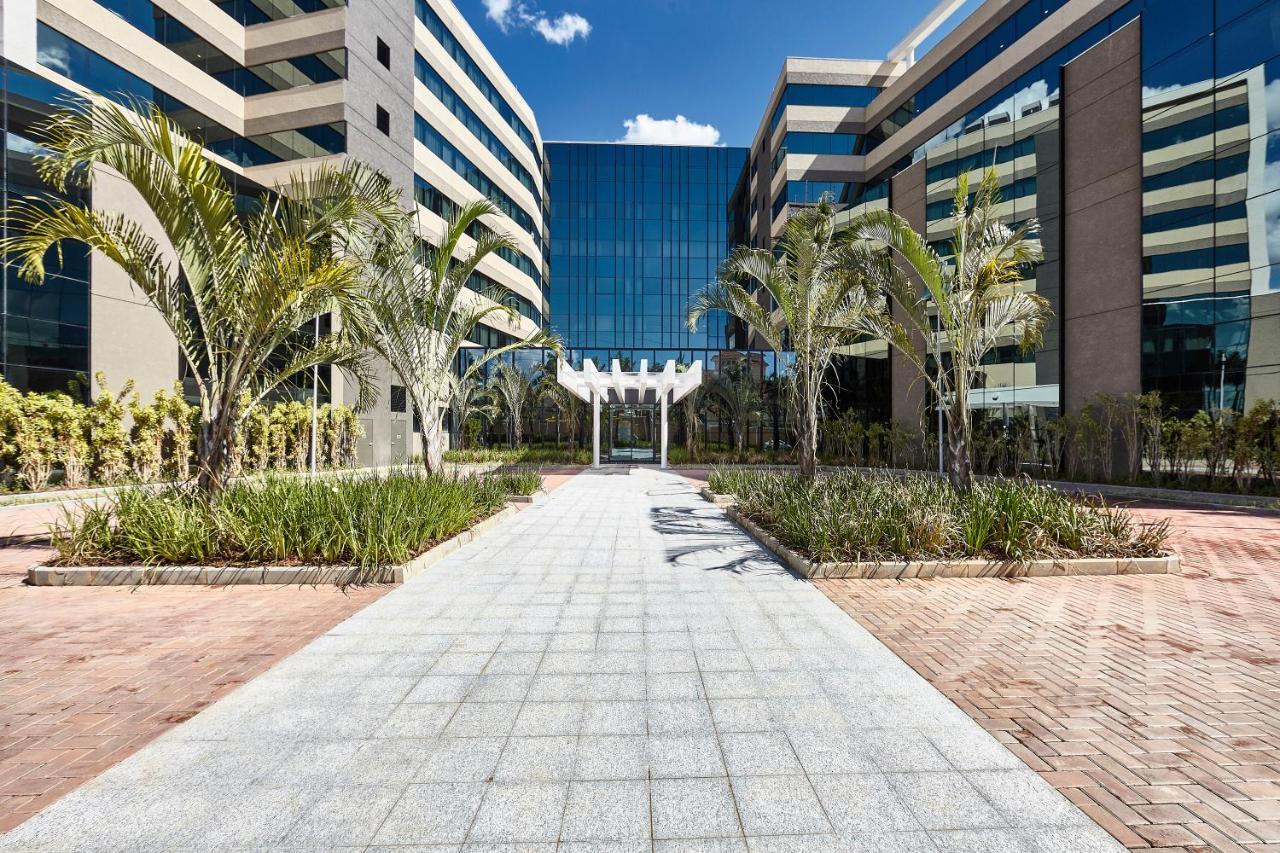Contemporaneo - Royal Palm &